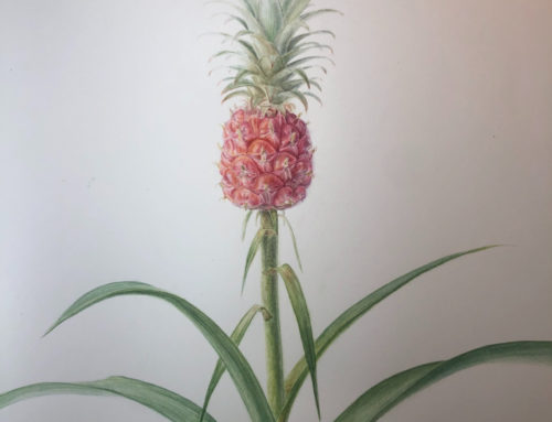 Botanical art
