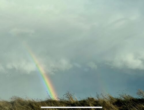 The colour of Now